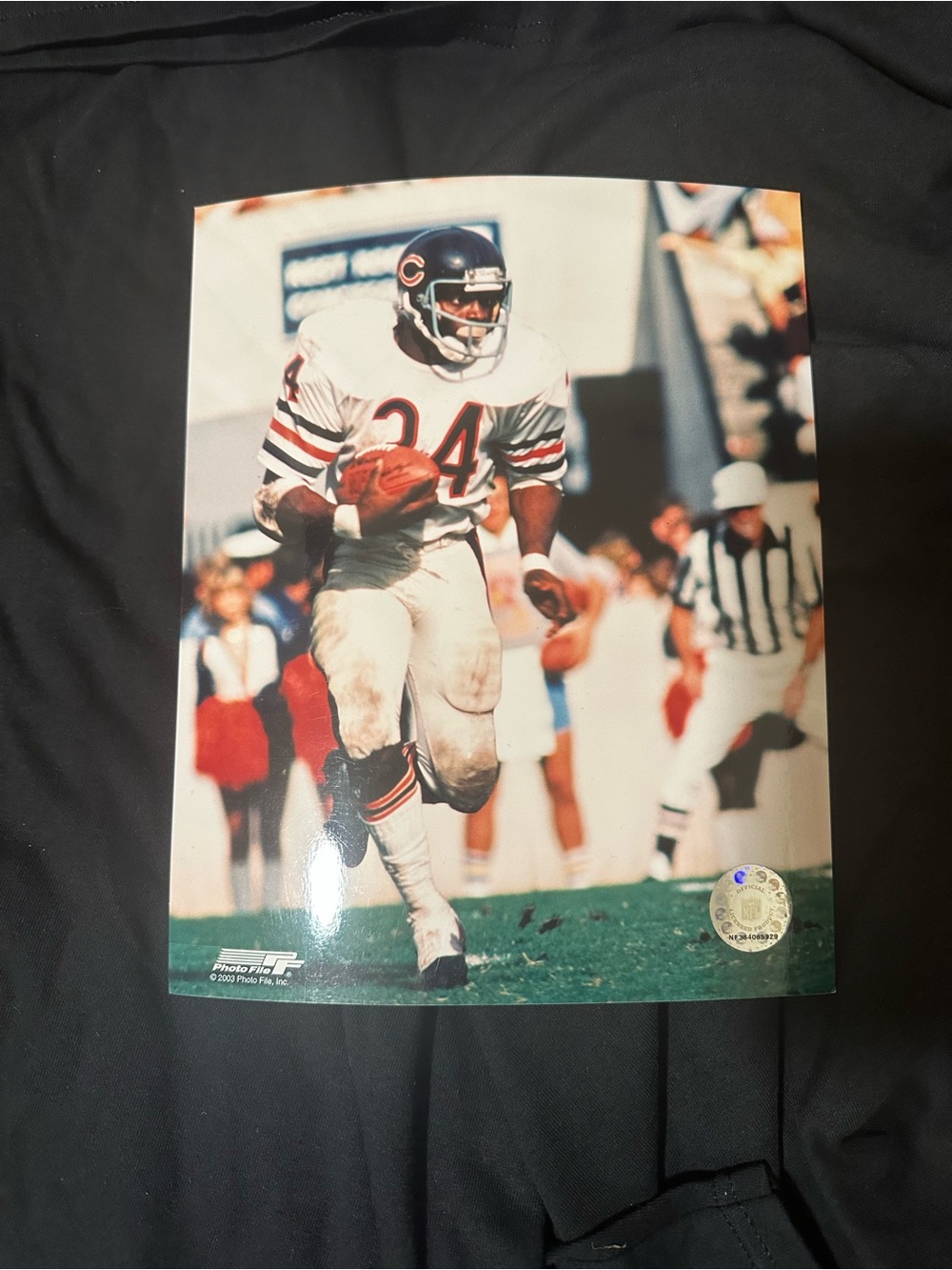Chicago Bears Vintage Football Wall Art - Walter Payton photo 8x10